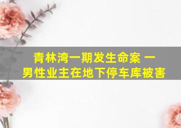 青林湾一期发生命案 一男性业主在地下停车库被害